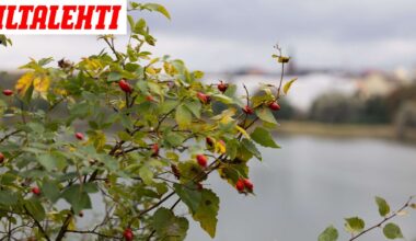 Lämpötila vain nousee