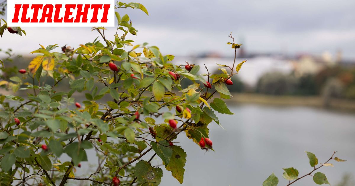 Lämpötila vain nousee