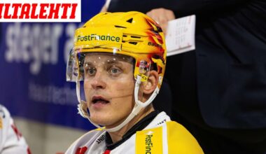 Leijonien pakille pelikielto