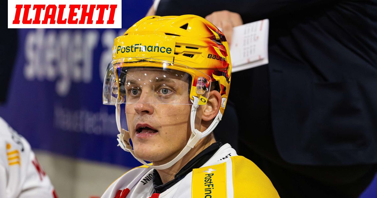 Leijonien pakille pelikielto