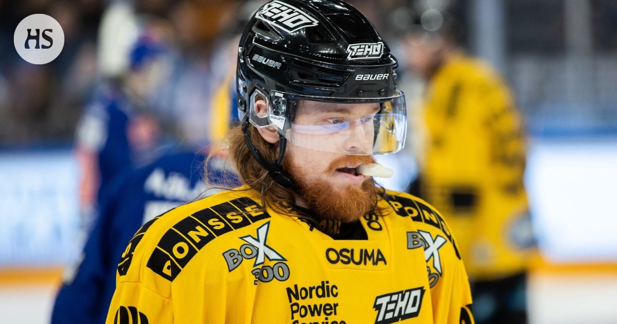 Olli Jokisen HIFK kaappasi paluumuuttajan