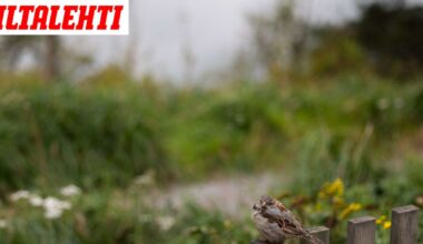 Nyt lokakuussa kävi niin, että sitä ei tapahdu edes kerran 10 vuodessa