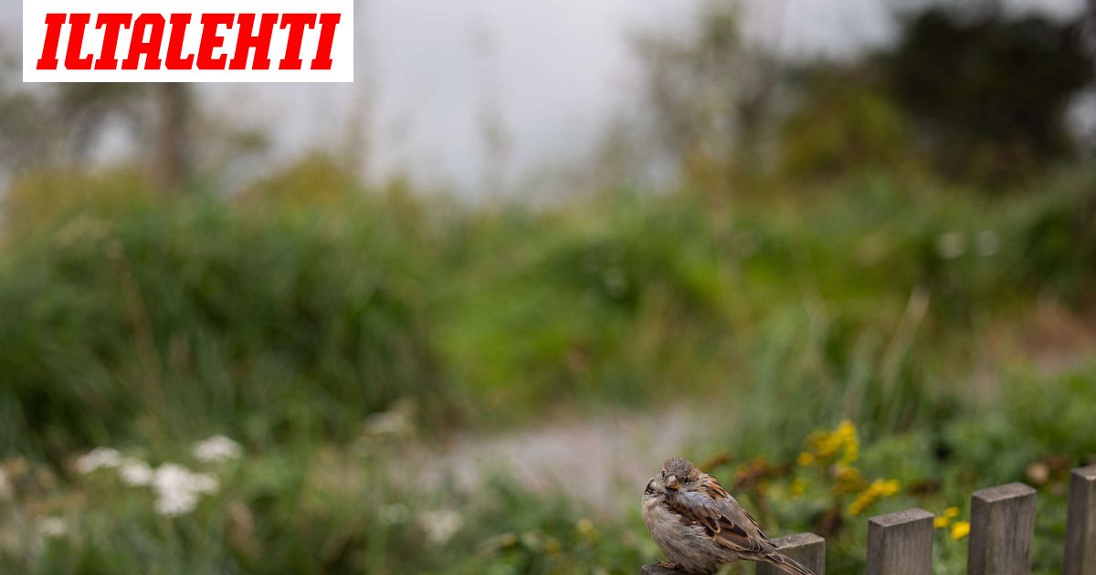 Nyt lokakuussa kävi niin, että sitä ei tapahdu edes kerran 10 vuodessa