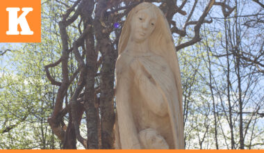 Saarelan veistospuiston peruskorjaus alkaa | Kaleva