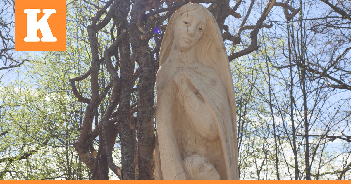 Saarelan veistospuiston peruskorjaus alkaa | Kaleva