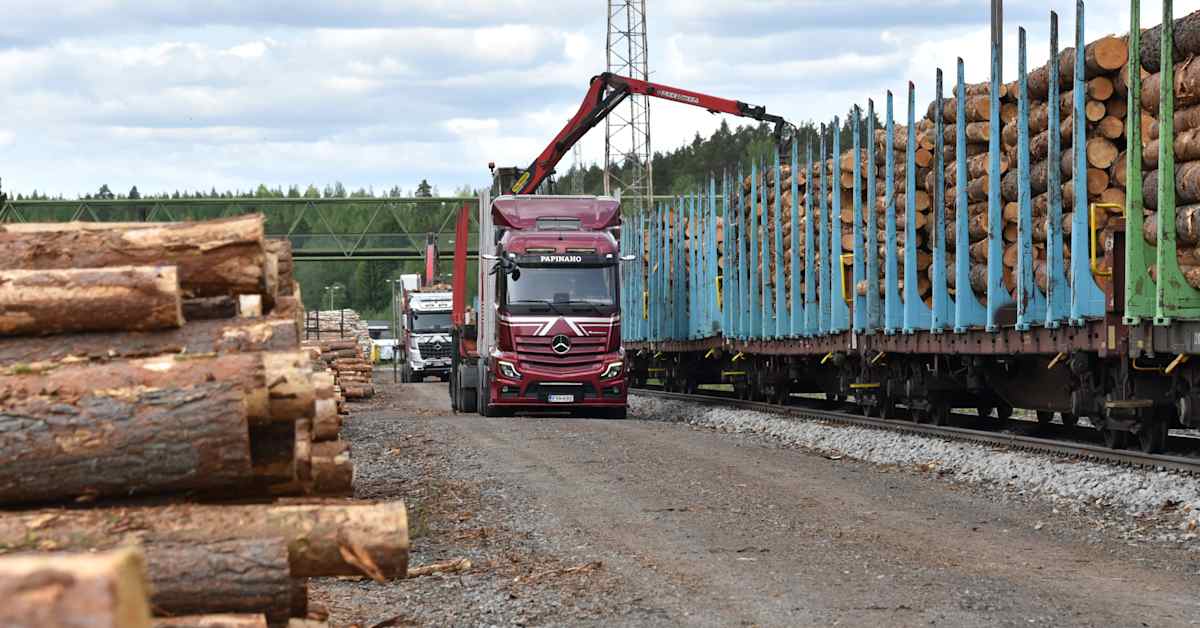 Jyväskyläläinen Pinja Group aloittaa yhteistyön ruotsalaisen sahayhtiön kanssa | Keski-Suomi