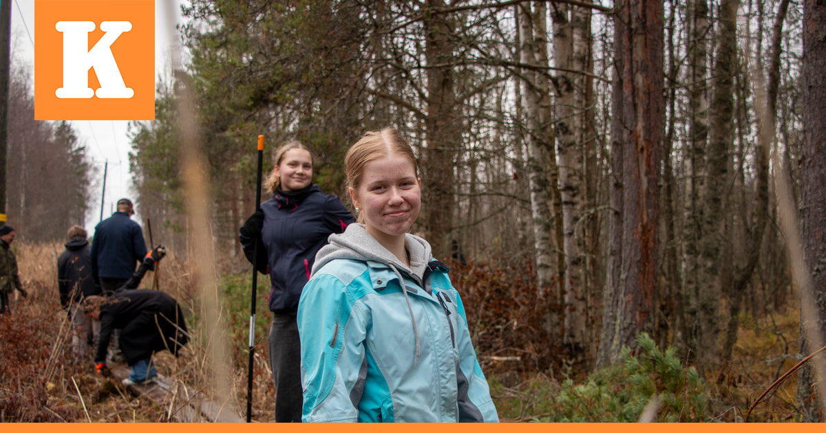 Lukiolaiset urakoivat vanhan luontopolun kuntoon Limingassa – Nyt lapset ja nuoret keräävät suojelurahoja