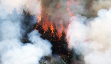 Ilmaston lämpeneminen jatkuu poikkeuksellisena | Kotimaa
