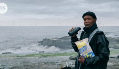 Samuel L. Jackson kiroili Vattenfallin mainoksessa, yritys sai huomautuksen