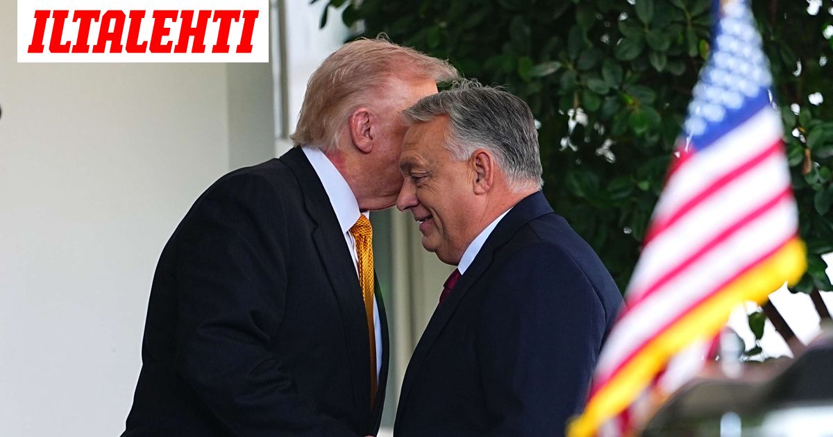 Trump ja Orbán kehuivat toisiaan kilpaa – Yksi mies sai haukut