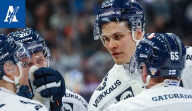 Leijonat kohtaa Tšekin – Raimo Helmisen helmet pääsevät nyt irti