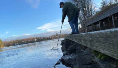 Muikkuparvet katosivat Vuokselta – kalastajat ihmeissään | Etelä-Karjala