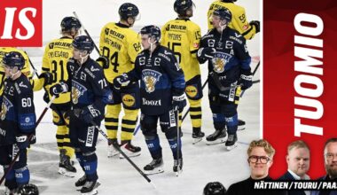 Leijonatuomio: Tämä mies pelasi itsensä jo lähes Suomen olympiajoukkueeseen