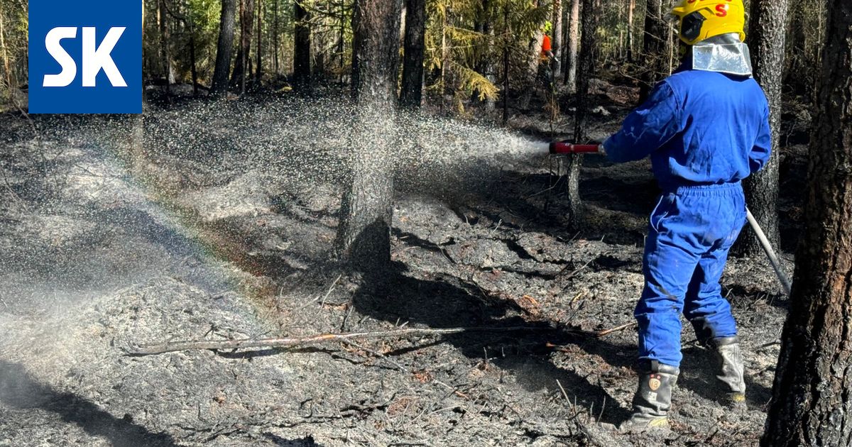 Nuorten sytyttämä nuotio levisi metsäpaloksi Kankaanpäässä