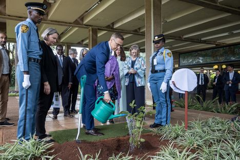 Afrikan-matkallaan Alexander Stubb muun muassa istutti puun Nairobissa Keniassa.