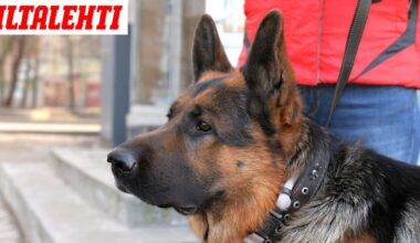 Gigantti myi laittomia tuotteita ja teki äkkiliikkeen – Tästä on kyse