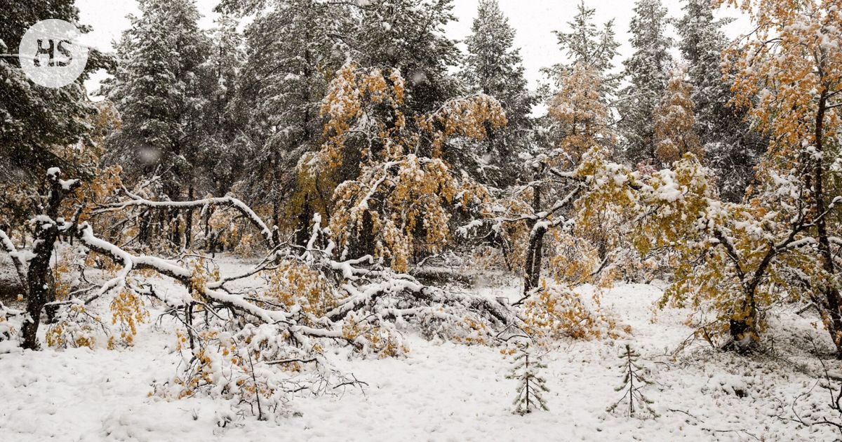 Alkutalvesta on tulossa kylmä, ennustaa Ilmatieteen laitos