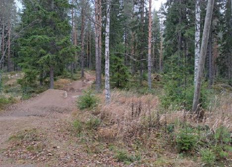 Tapahtumapaikka kuvattuna hyökkääjän poistumissuuntaan.