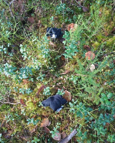 Poliisi löysi miehen poistumisreitiltä mustat hanskat.
