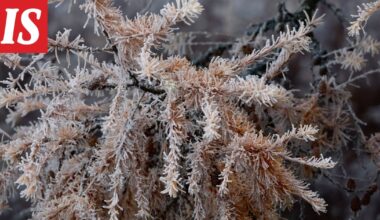 Ilmatieteen laitos: Kylmä ja luminen alkutalvi