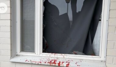 Peura rynni Lauran makuuhuoneen ikkunasta läpi – tällainen oli kaaos: ”Voin sanoa, että pulssi oli korkea”