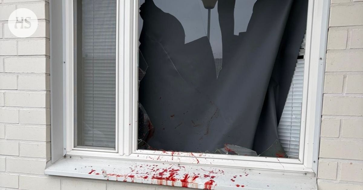 Peura rynni Lauran makuuhuoneen ikkunasta läpi – tällainen oli kaaos: ”Voin sanoa, että pulssi oli korkea”