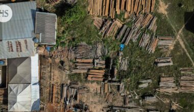 Metsäkatoasetuksen ympärillä kuohuu taas – EU-maat vaativat lykkäystä