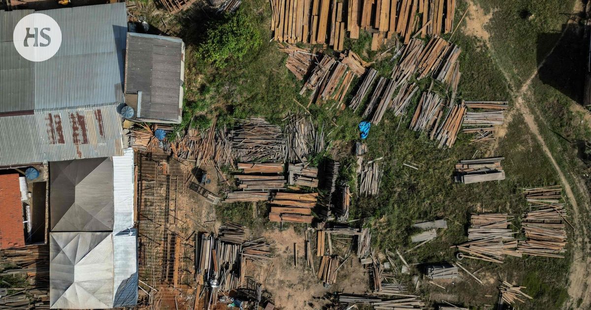 Metsäkatoasetuksen ympärillä kuohuu taas – EU-maat vaativat lykkäystä