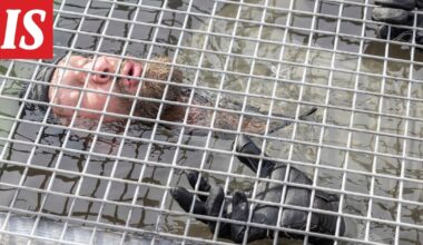 Erikoisjoukot: Robert Helenius herättää huolen – ”Jos lähtee naama kohti pohjaa...”