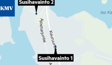 Useita havaintoja sudesta Mäntässä, Vilppulassa ja Kuorevedellä samana aamuna – ilmoita havainnosta aina hätänumeroon ja petoyhdyshenkilölle