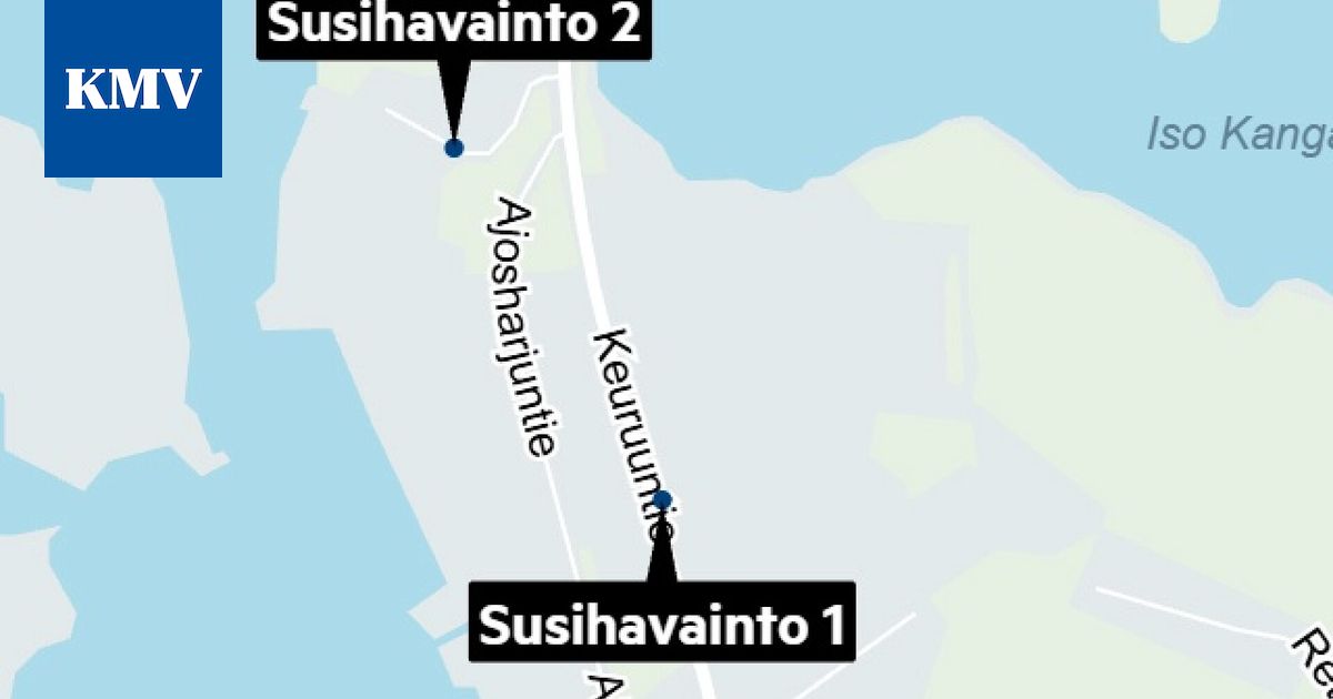 Useita havaintoja sudesta Mäntässä, Vilppulassa ja Kuorevedellä samana aamuna – ilmoita havainnosta aina hätänumeroon ja petoyhdyshenkilölle
