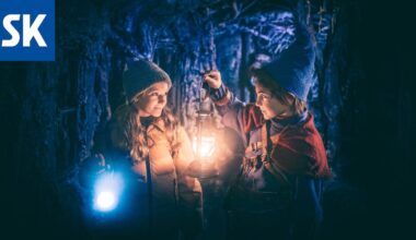 Arvio | Isolla rahalla tehty kotimainen Tonttu-elokuva on näyttävä ja haikea - satakunnankansa.fi