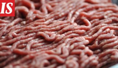 Snellmannin uudessa jauhelihassa 30 prosenttia naudanlihasta korvattu kasviproteiinilla