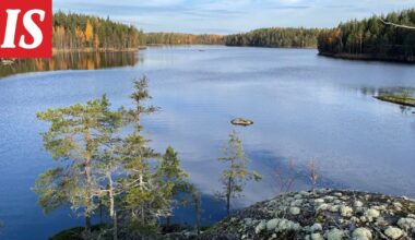 Testaa, kuinka hyvin tunnet Suomen luonnon