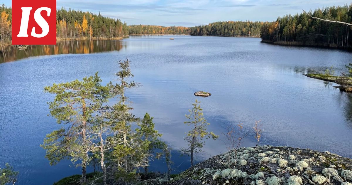 Testaa, kuinka hyvin tunnet Suomen luonnon