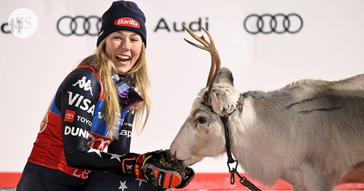 Mikaela Shiffrin ja muut maailmantähdet rakastuivat Lappiin