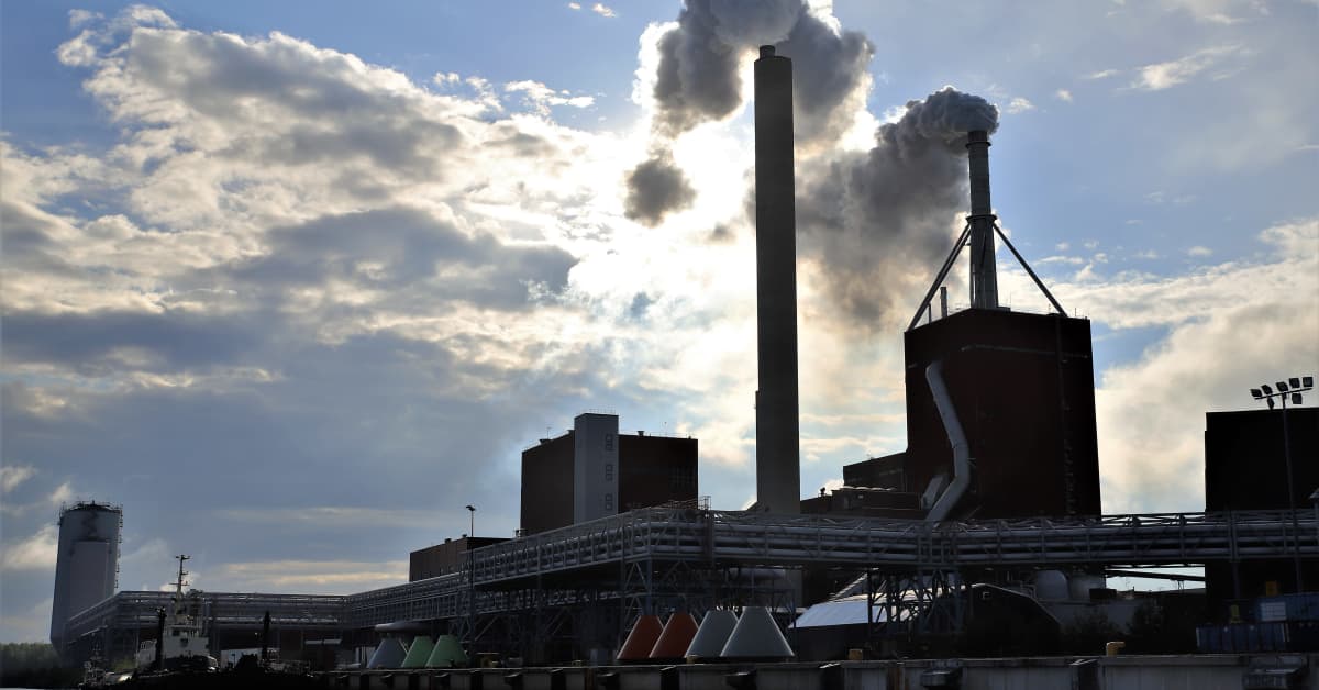 Mysteerihaju on piinannut tänään Oulussa, mutta syy ei ole selvinnyt – palomestari: ”Yleisin kuvaus on kissanpissa” | Pohjois-Pohjanmaa