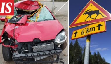 Markus joutui pahaan hirvikolariin: selkä murtui