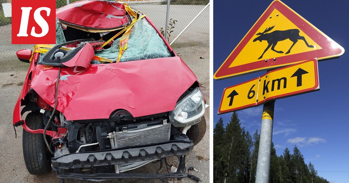 Markus joutui pahaan hirvikolariin: selkä murtui