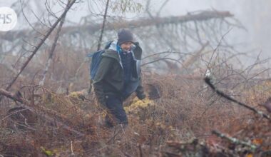Luonnonsuojeluliiton metsäkartoittaja Tuuli Hakulinen valvoo metsäyhtiöiden toimintaa hakkuualueilla