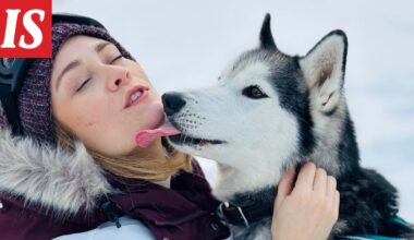 Hallmark-elokuvaa The Finnish Line kuvattiin Suomessa