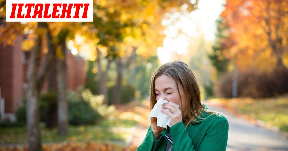 Taas uusi tautiaalto, joka kaataa pahimmillaan sairaalaan – Pian on pahimmat hetket: ”Pahempi kuin influenssa”