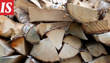 Helsingin Uutiset: Nuutti Hyttinen näki, miten mies kähvelsi veneellä polttopuita Pikku Leikosaaren retkeilypaikalta