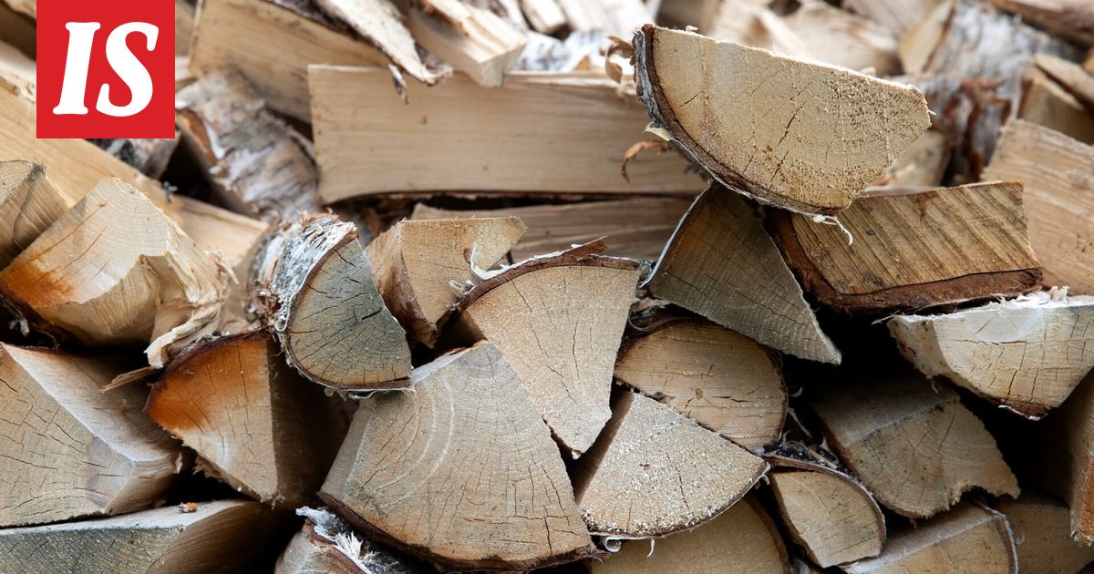 Helsingin Uutiset: Nuutti Hyttinen näki, miten mies kähvelsi veneellä polttopuita Pikku Leikosaaren retkeilypaikalta