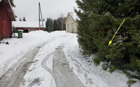 Tapahtumapaikka poliisin kuvaamana. Havupuista löytyi verijälkiä.