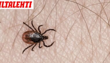 Amerikkalaismies söi hampurilaisen ja kuoli