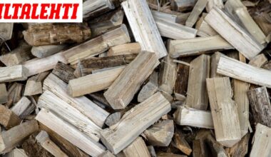 Suositulla retkeilysaarella tapahtui isänpäivänä härski kähvellys – ”Vielä sivullisten ja lapsen nähden”