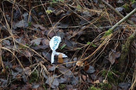 Poliisi epäilee, että nainen on joutunut henkirikoksen uhriksi.
