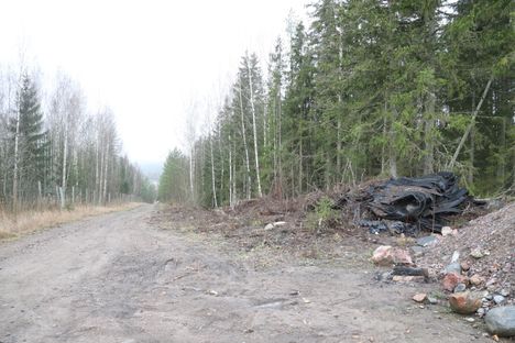 Haavistontieltä lähtee jyrkkään ylämäkeen pieni hiekkatie, joka johtaa työmaa-alueelle. Metsikkö sijaitsee tämän hiekkatien vieressä.