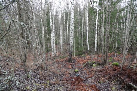 Ruumis löytyi syrjäisestä paikasta.